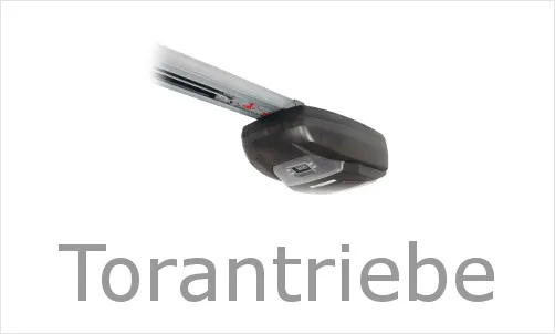 Torantriebe