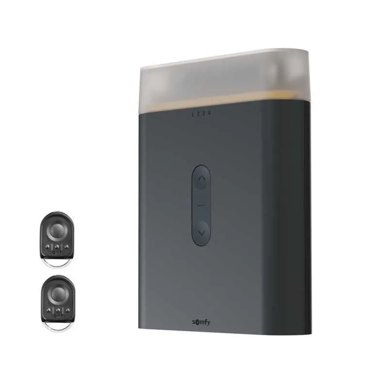 Somfy Rolltorsteuerung Rollixo Premium io - Aktion